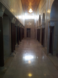 photo 1323229
