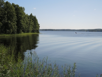 photo 1178861