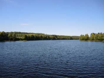 photo 457142