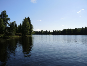 photo 467998