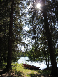 photo 479195
