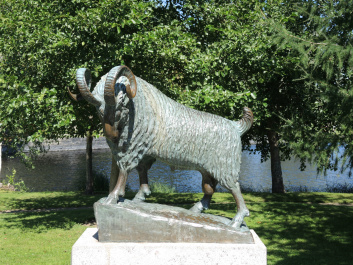 photo 507471