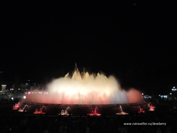 photo 1143934