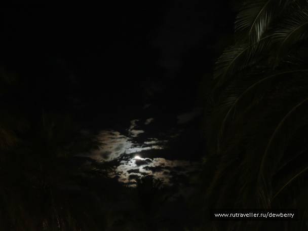 photo 532555
