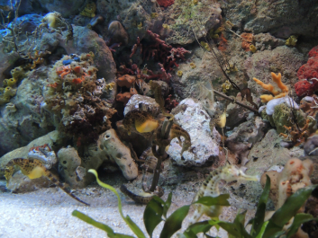 photo 627021