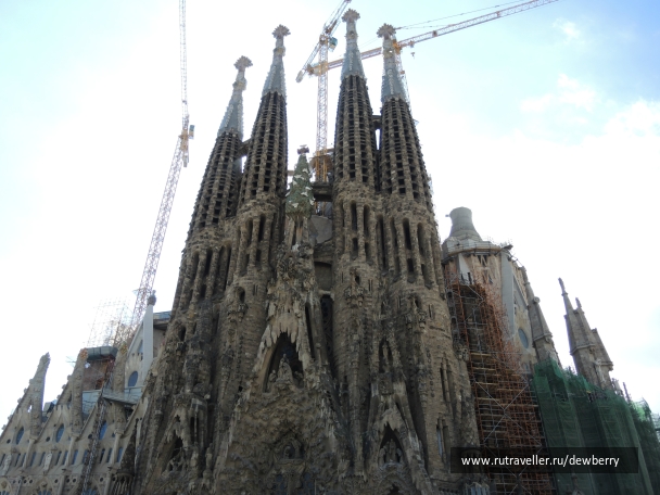 photo 799415
