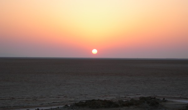 DSCN5324