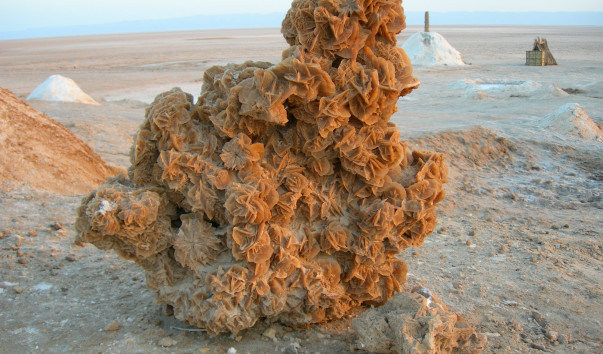 Роза пустыни
