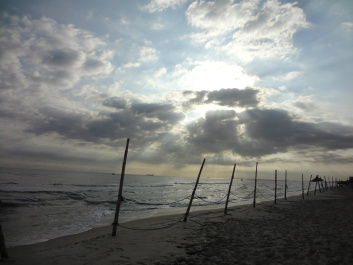 photo 379027