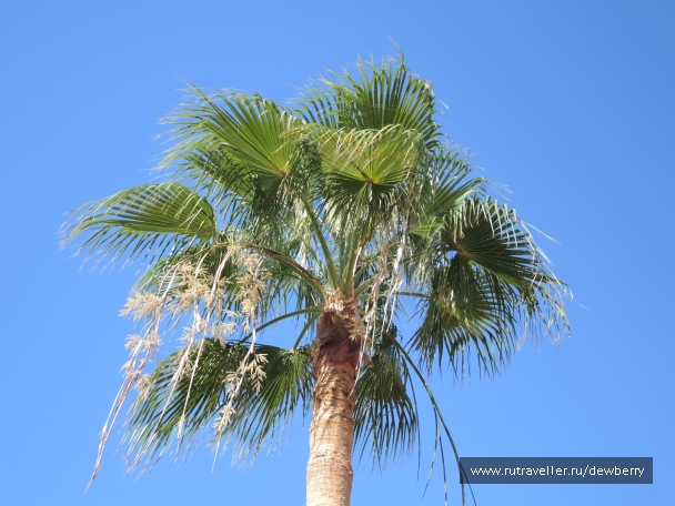 photo 1140163
