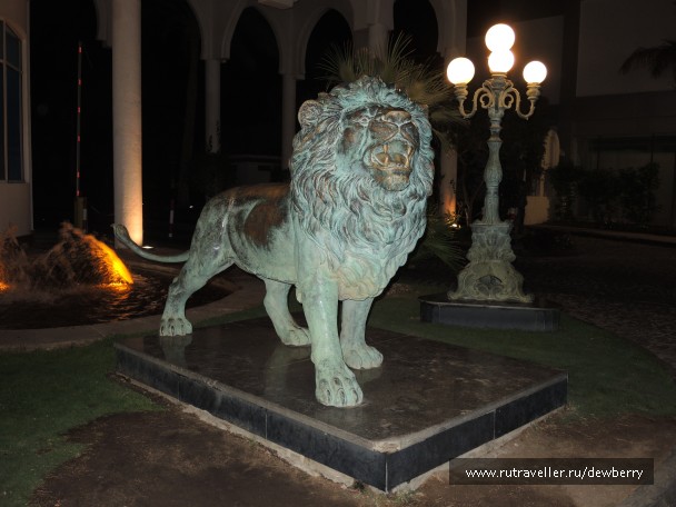 photo 1140175