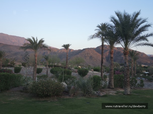 photo 1146876