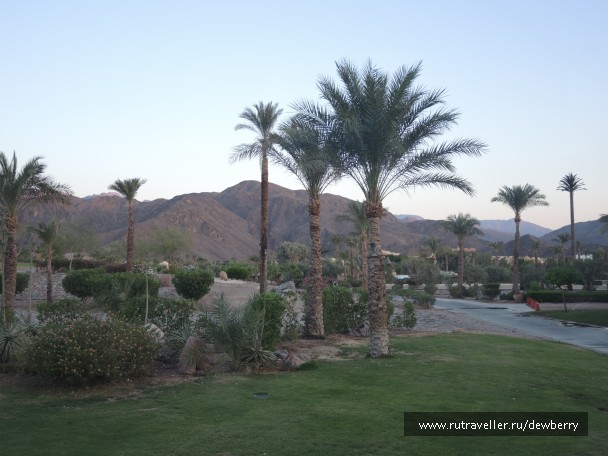 photo 1146877