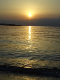 photo 1154332