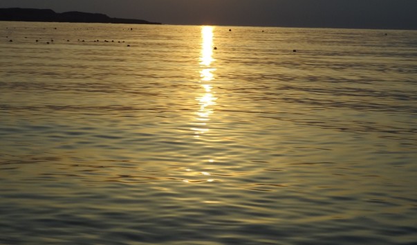 DSC02340