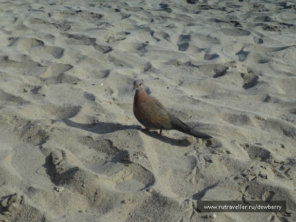 photo 332770