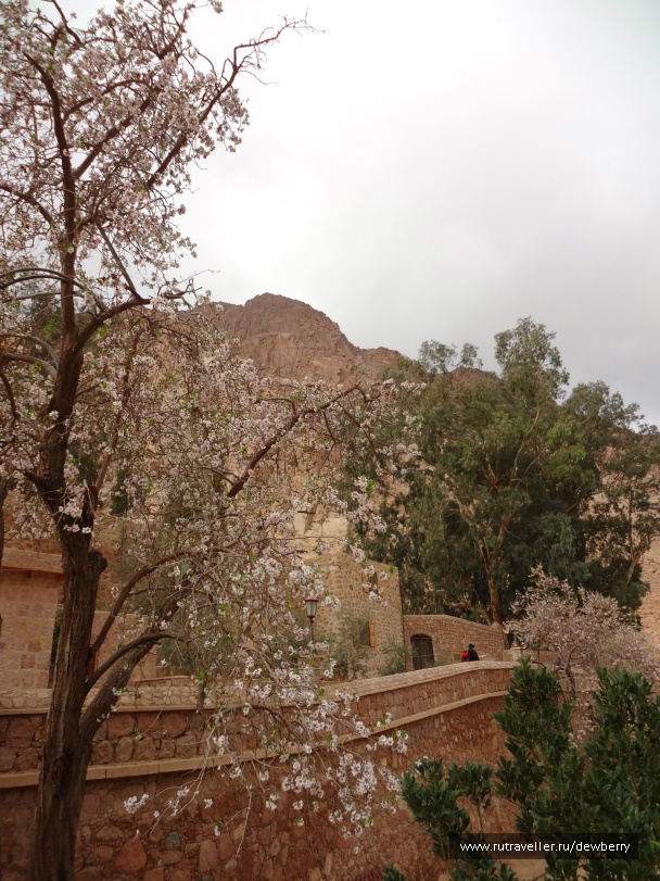 photo 399744