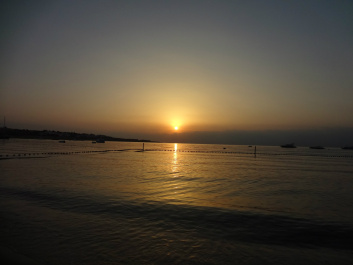 photo 436872