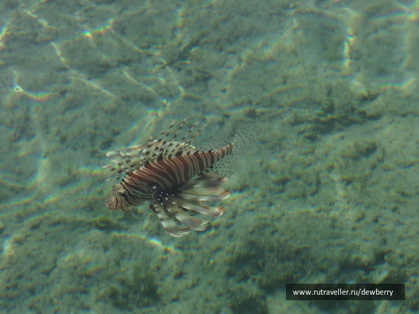 photo 590643