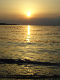 photo 717550