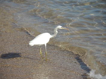 photo 916469