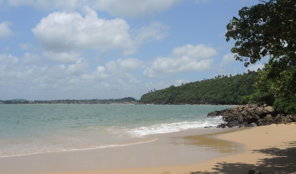 560d8ee7363ae.jpg