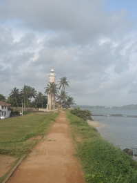 photo 1134652