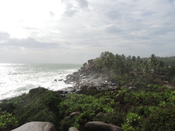 photo 1135363