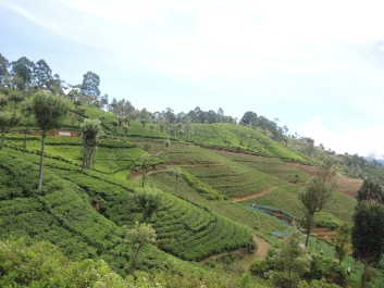 photo 1137337