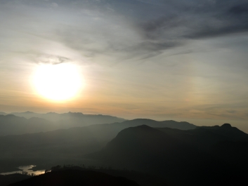 photo 1213924