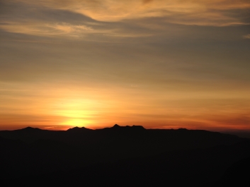 photo 1214289
