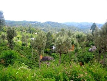 photo 1396547