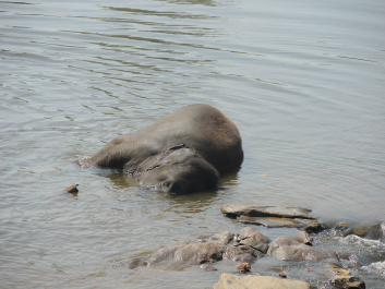 photo 705138