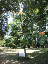 photo 729824