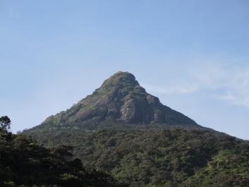 photo 786353