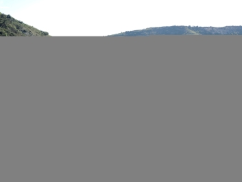 photo 1307156