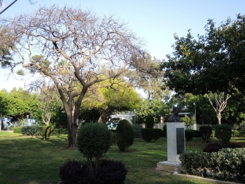 photo 1511367