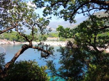 photo 1414612