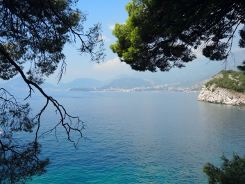 photo 1646202