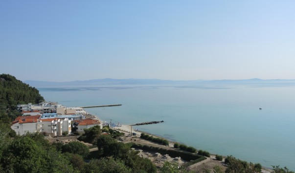 DSCN8504