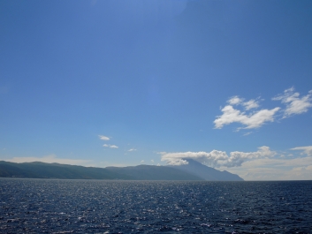 photo 1505709