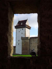 photo 1572188
