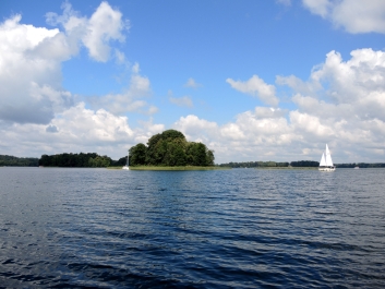 photo 1661891
