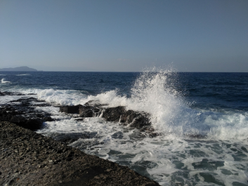 photo 1822519