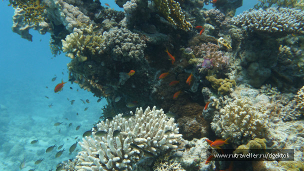 photo 253423