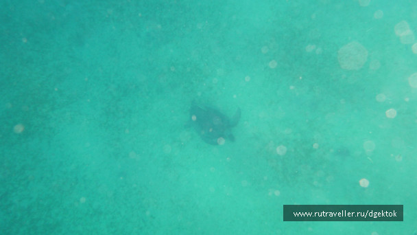 photo 253270