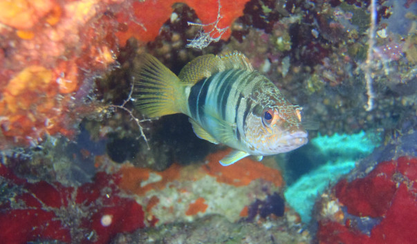 P7080008