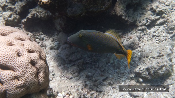 photo 742121