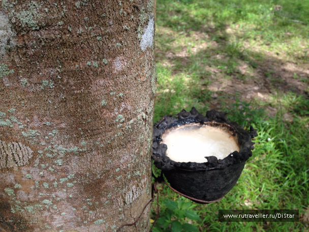 photo 1069795
