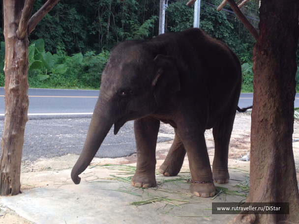 photo 1069798